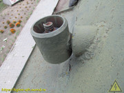 IMG-9006