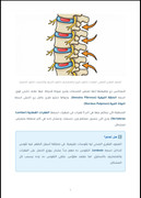 صفحة من الدليل