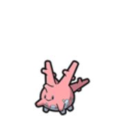 corsola