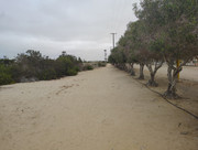 IMG-20260617-100120656