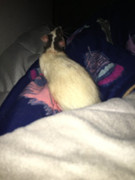 99D2CC35-F2B5-410F-86E6-D38180B12066