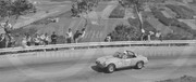 Targa Florio (Part 4) 1960 - 1969  - Page 13 1968-TF-202-007