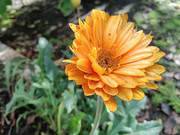 IMG20250108005553