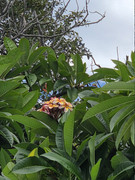 https://i.postimg.cc/LntmQV82/20260218-130448.jpg