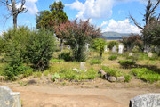 DSC-0149