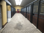 Stallgasse II RSAR IMG_4034