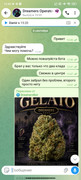 Screenshot-2026-09-08-15-42-41-844-org-telegram-messenger