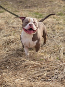 IMG_20230416_015616_180