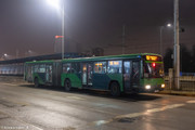 IMG-4650