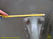 IMG-9110