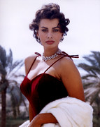 sophia-loren-528