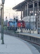 IMG_20250719_080506812_HDR