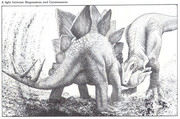 https://i.postimg.cc/LqRVjhpR/a-fight-between-stegosaurus-and-ceratosaurus-purnells-book-of-dinosaurs-and-prehistoric-animals.jpg