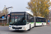 IMG-1105