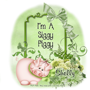 ShellySiggyPiggy-vi