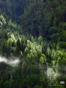 photo 6 2026 01 16 22 03 08