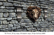 lion8x.jpg