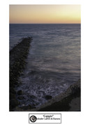 Salvador-LG-Espigon