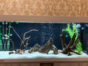 DC573A1F-D3CA-4C21-8113-B3384ADA72CE