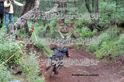 IMG-6491