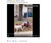 Screenshot Capture - 2023-09-16 - 02-43-50