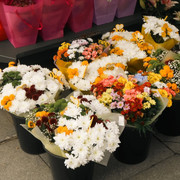 photo 24 2026 01 16 21 58 24