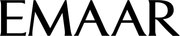 Custom Logo 2
