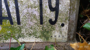 P-20201028-104447-p.jpg