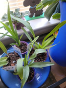 Screenshot_20220127-212832_Gallery