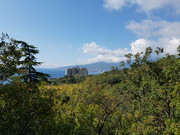 21 Никитский сад