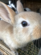 3E0AC7CC-1044-4FAC-8A33-5AF6668E60BC