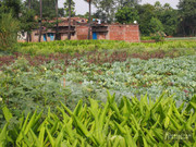 BBG&B12AStrollToSujataTemple - 4