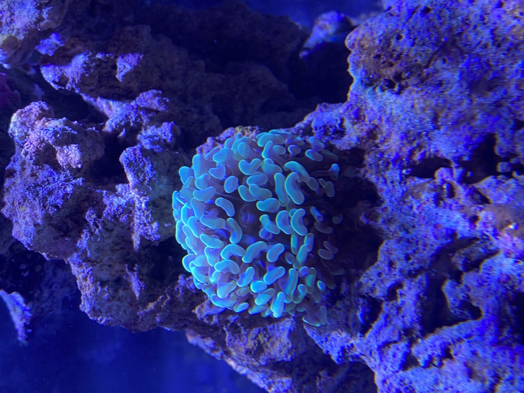 8C896FBF-79B1-4E02-822D-17E9971C1C8A