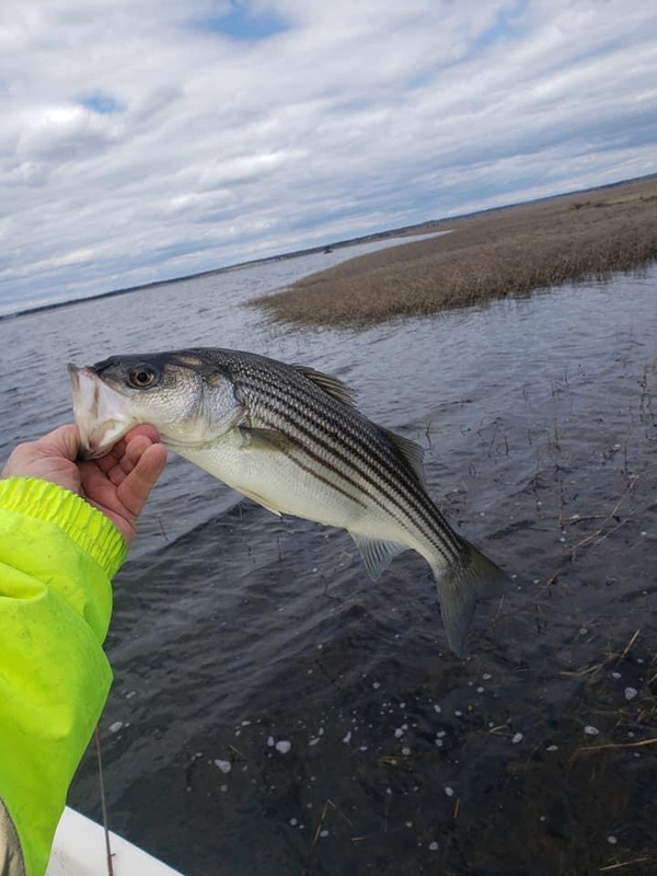 60B2F40F-DCC2-4D62-AD0B-5503A221AB88