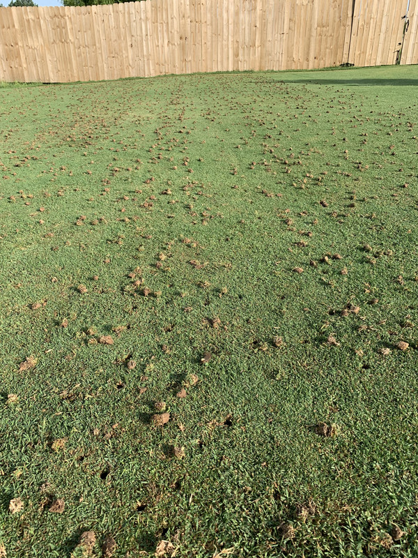 75CBB167-A0DE-4847-B5B1-1A2BDD0BCE51