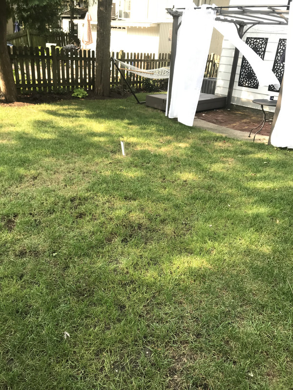 2020-09-16 09.41.27-1