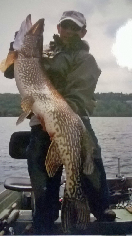 WP_20140817_01_49_54_Pro