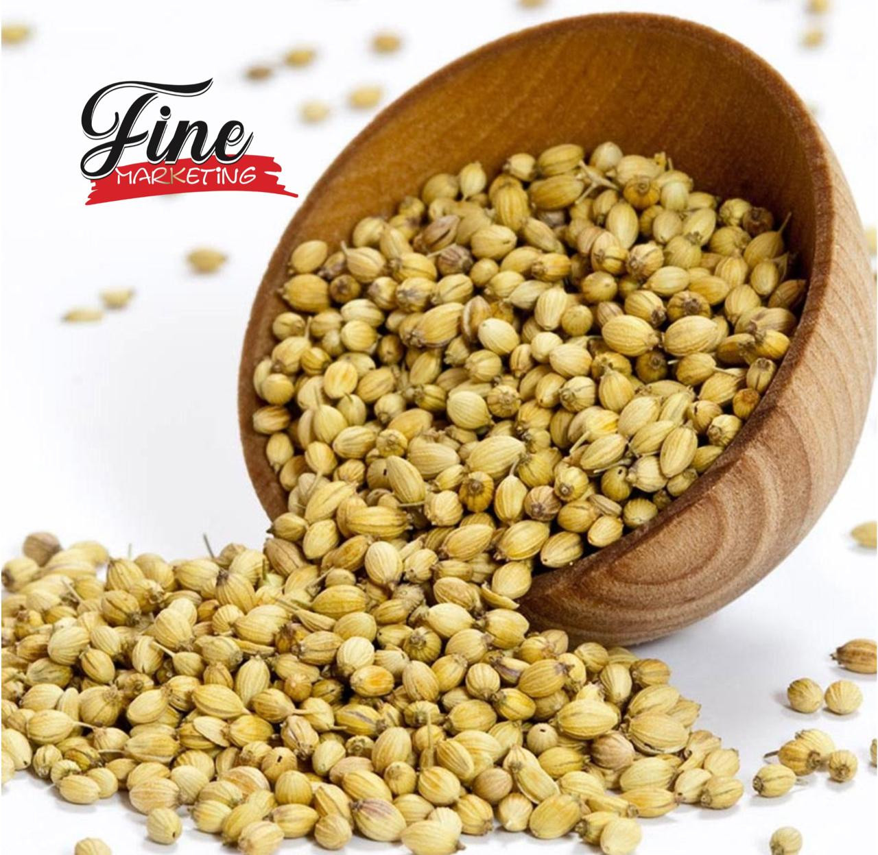 Coriander Gold