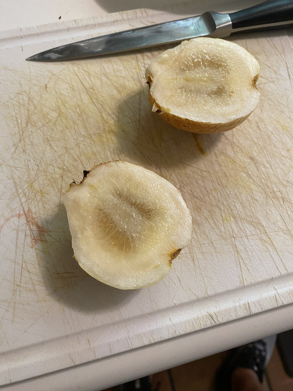 2022C484-E90B-45DD-86E7-3A101FD2AB8C