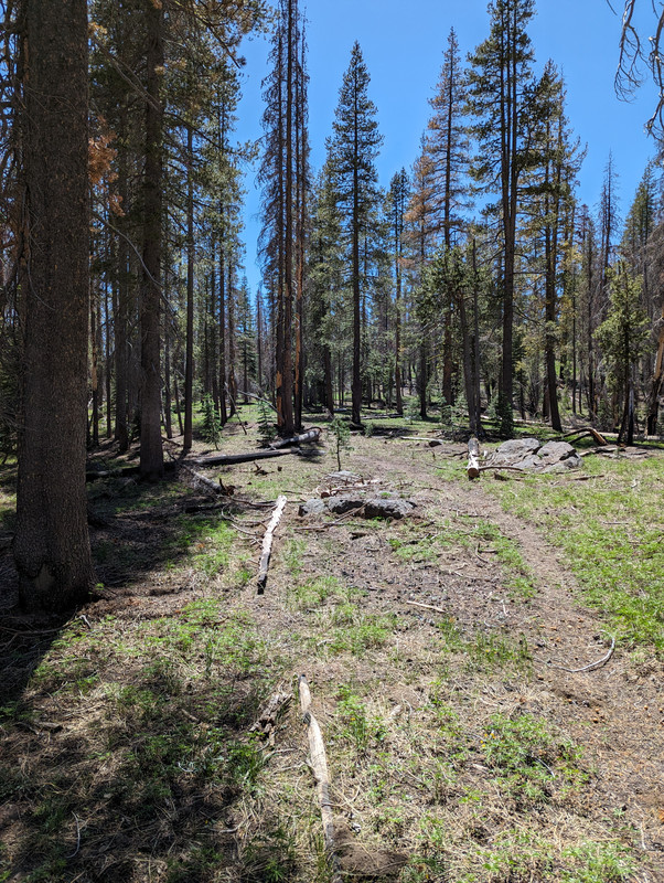 PXL_20250613_214253795