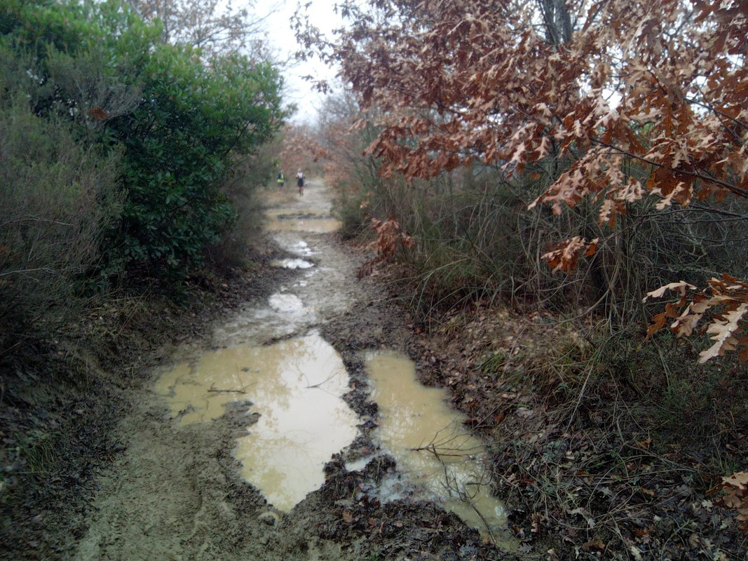 b-FVHsRWW0cY3UFX1sgaXU2Xg-lvwm9OhEmNHHYx0dA-2048x1536