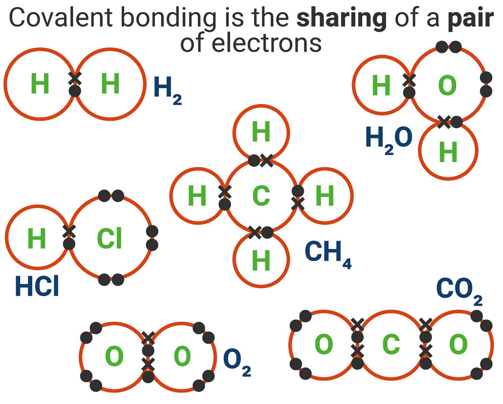 Ethene Covalent Bond Diagram