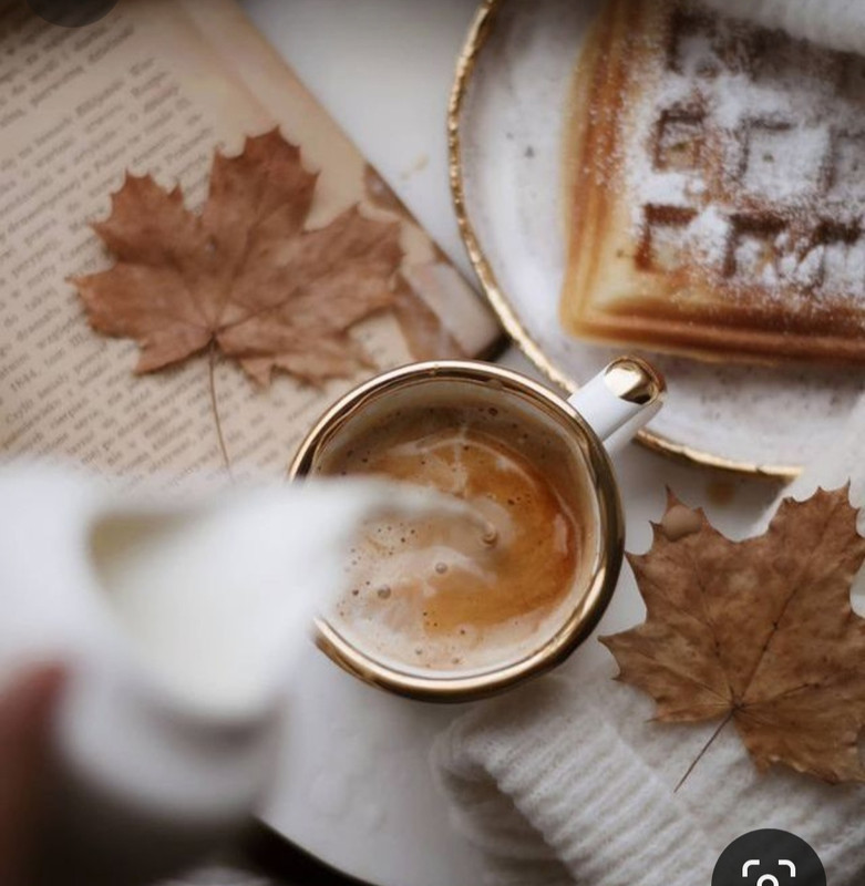 Screenshot_20231110_230026_Pinterest