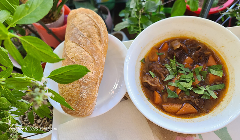 [Image: 20251008-124207.jpg]