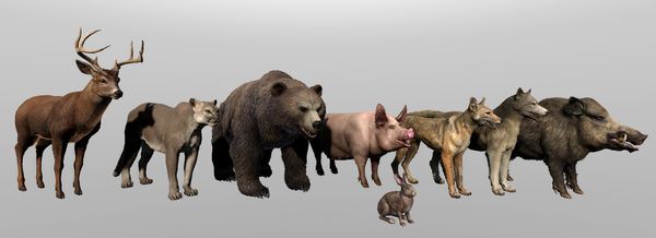 428629625_791301743033323_3943723215941657879_n