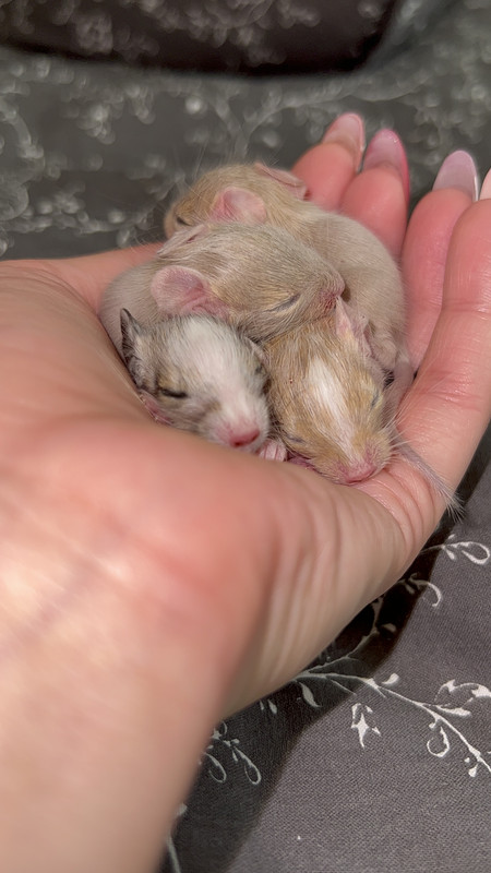 3CFBC972-EC55-496B-8E4A-2A77B103BFBE