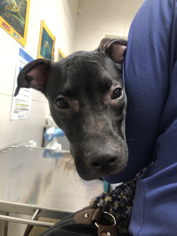 1709E069-13D2-453E-8302-E52EFE0C3021