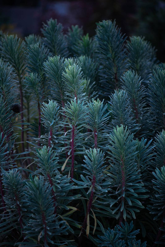IMG-1160c6d77c5ae9f93e7772d565b989c4-V