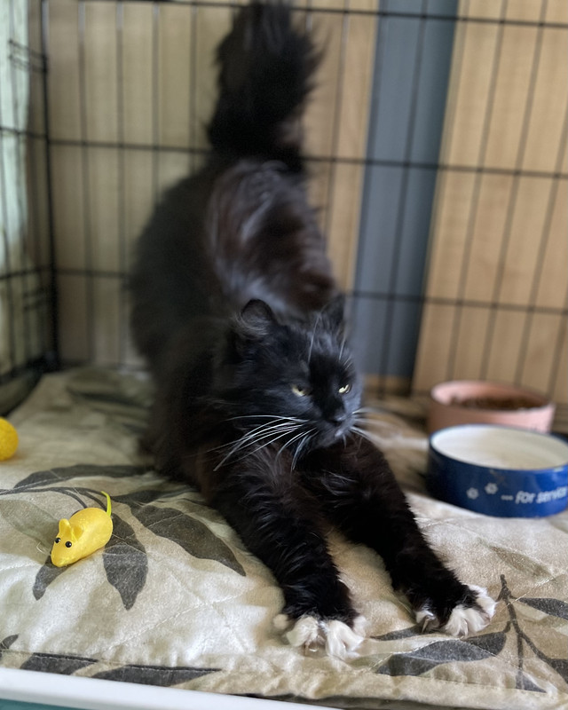 7FF980CE-93E0-4868-BB69-A95CB2A78126