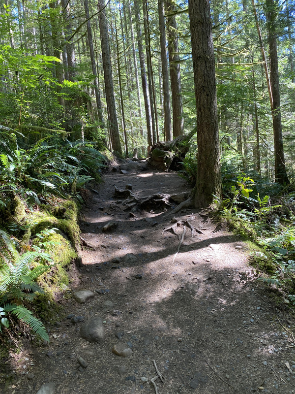 .Đi hiking Wallace water fall AF50-DAD8-963-D-48-C0-A341-BB2-E343-E3-DCF
